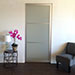 Glass Pocket Doors with Dividers