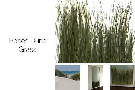 Beach Dune Grass Pocket Doors