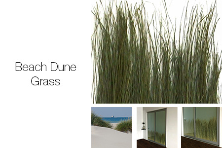 Beach Dune Grass Sliding Closet Doors